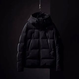 デサント(DESCENTE)の水沢ダウン ”マウンテニア”10th ANNIVERSARY(ダウンジャケット)