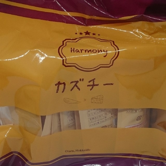 カズチー 井原水産 10袋 数量限定