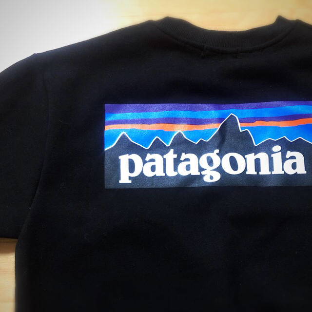 patagonia(パタゴニア)のpatagonia メンズのトップス(スウェット)の商品写真