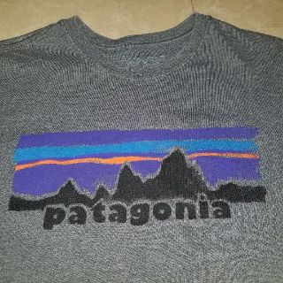 パタゴニア(patagonia)のpatagonia　Tシャツ(Tシャツ/カットソー(半袖/袖なし))