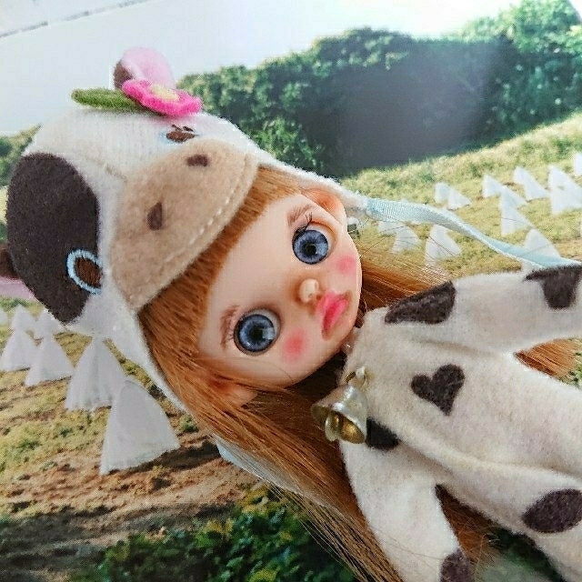 ♡専用です♡ Petit Blythe Custom‪‪ , mechakici