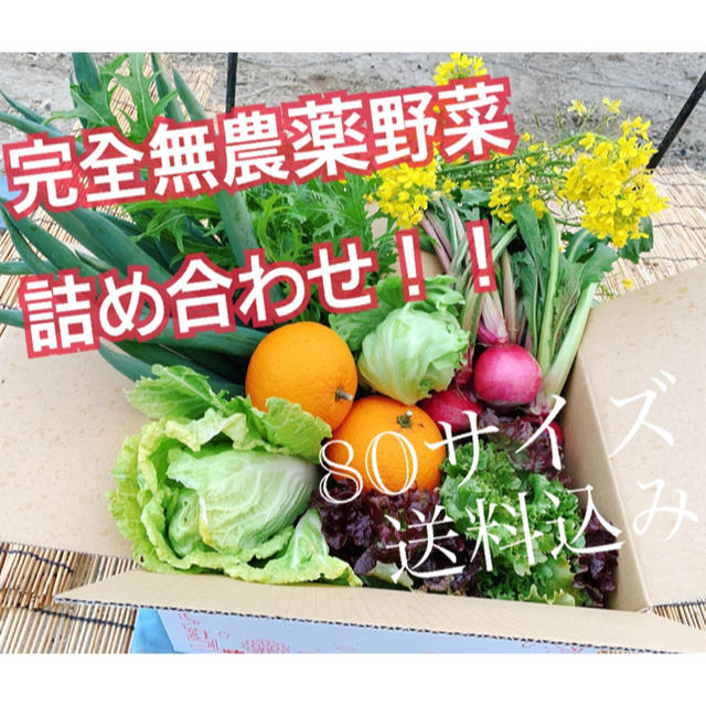 無農薬野菜詰め合わせ 食品/飲料/酒の食品(野菜)の商品写真