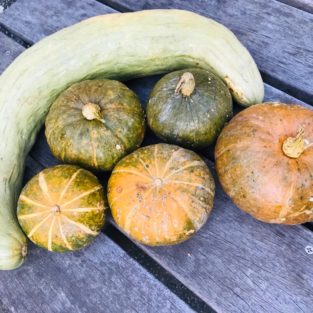 無農薬野菜詰め合わせ 食品/飲料/酒の食品(野菜)の商品写真