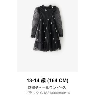 ザラキッズ(ZARA KIDS)のZARA 刺繍チュールワンピース(ドレス/フォーマル)