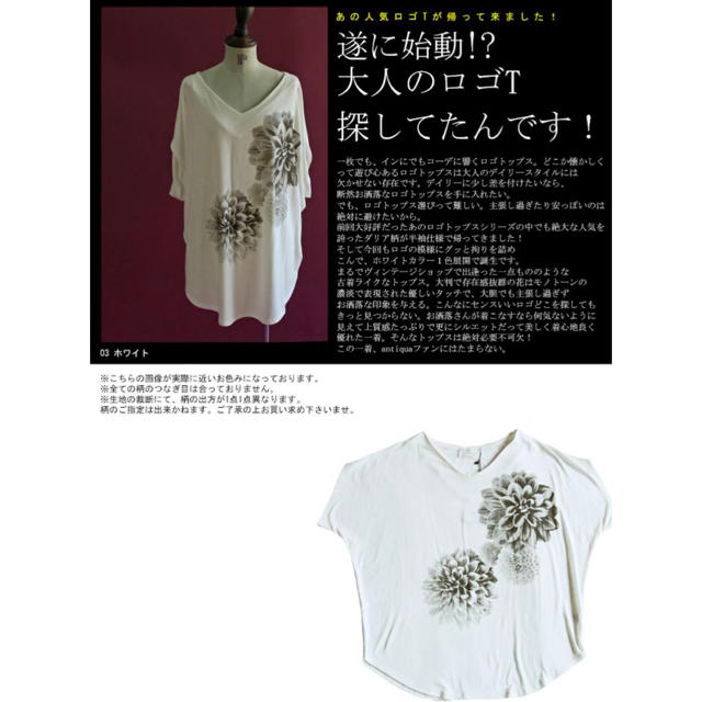 antiqua(アンティカ)のアンティカ ダリア 花柄 トップス Ｔシャツ レディースのトップス(Tシャツ(半袖/袖なし))の商品写真