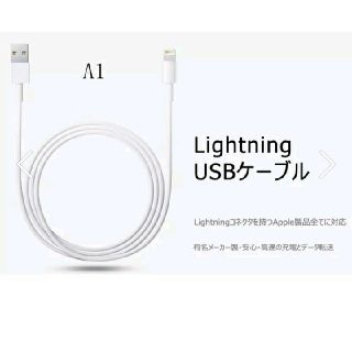 iPhone USBケーブル(その他)