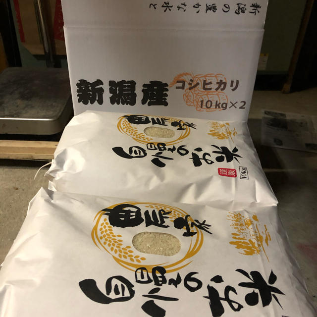 新米新米 新潟県産 コシヒカリ 精米20kg 長岡市 栃尾 【西中野俣】