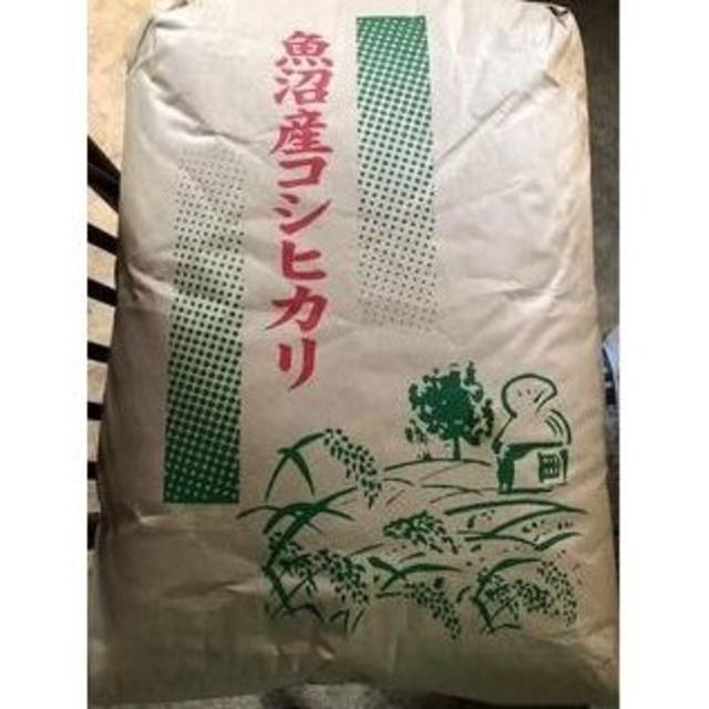 令和元年 魚沼産コシヒカリ津南産 60kg (玄米・数量限定販売) 食品/飲料/酒の食品(米/穀物)の商品写真