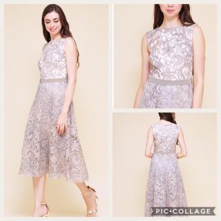 タダシショウジ(TADASHI SHOJI)の今期新作♡【新品 未使用】タダシショージ TADASHI SHOJ ドレスワンピ(ひざ丈ワンピース)