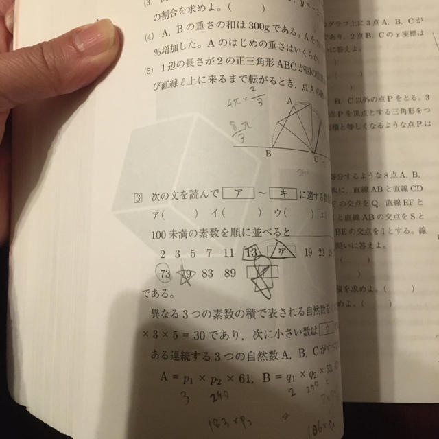 近畿大学附属高等学校 2020年度受験用 エンタメ/ホビーの本(語学/参考書)の商品写真