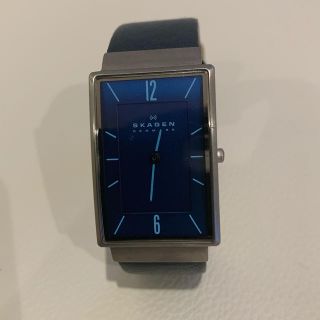 スカーゲン(SKAGEN)の本日限定値下げ！早い者勝ち！SKAGEN 時計(腕時計(アナログ))