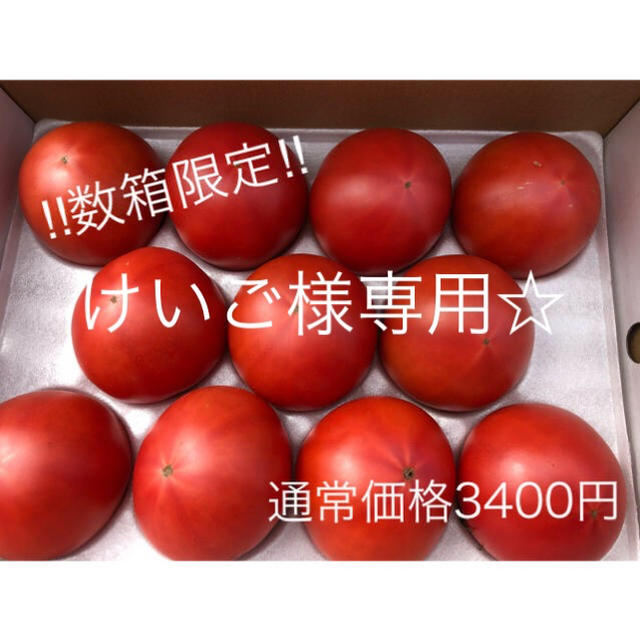熊本県産　塩トマト　夢ロマン2箱
