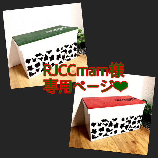 今季一番 RJCCmam様、専用ページになります!!┏〇゛✧︎*。 BOX2点