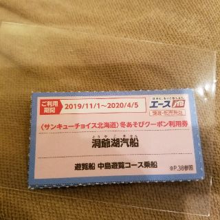 洞爺湖汽船 乗船券 利用券 観光 札幌市 北海道 宿泊券 ホテル クーポン (その他)