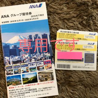 エーエヌエー(ゼンニッポンクウユ)(ANA(全日本空輸))のANA株主優待券(その他)