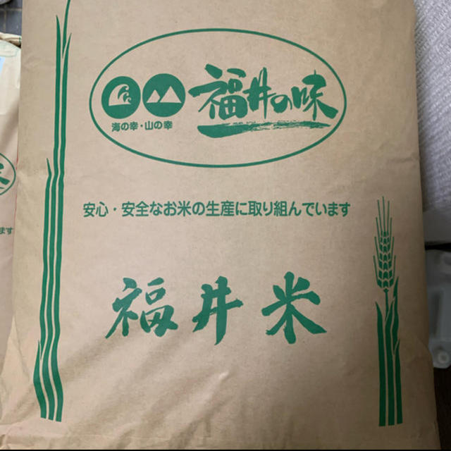 30kg　☆新米☆福井県産コシヒカリ玄米　米/穀物