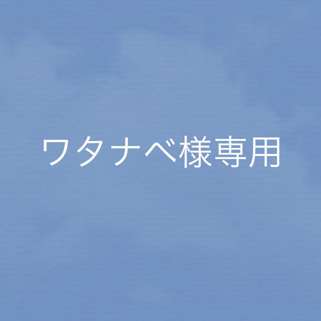 ワタナベ様専用 その他のその他(その他)の商品写真