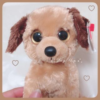 トイザラス(トイザらス)の𓊆 新品tyぬいぐるみ犬 𓊇 (ぬいぐるみ)