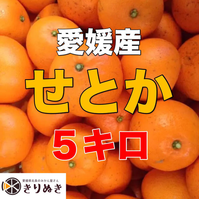 せとか5キロ 農家支援プロジェクト 食品/飲料/酒の食品(フルーツ)の商品写真