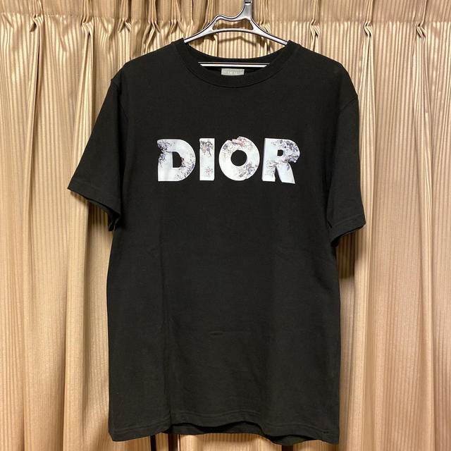 本物ディオールオム今期新作DANIELARSHAM半袖TシャツDIORHOMME