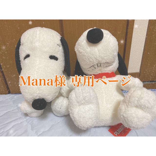 Mana様 専用ページ エンタメ/ホビーのおもちゃ/ぬいぐるみ(ぬいぐるみ)の商品写真