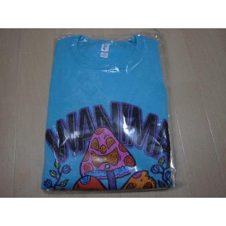 ワニマ(WANIMA)のwanima COMINATCHA!! スウェット　ブルー　ＸＬ(ミュージシャン)