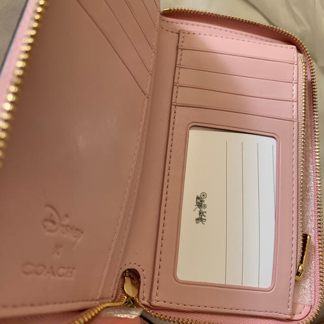 COACH - 新品未使用 正規品 COACH コーチ コラボ 101匹わんちゃん ...