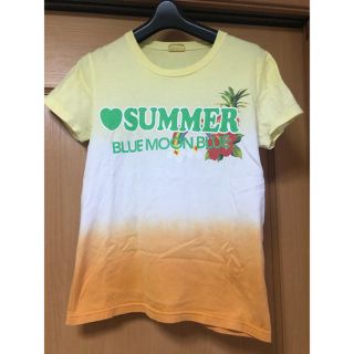 ブルームーンブルー(BLUE MOON BLUE)の美品 BLUEMOONBLUE Tシャツ(Tシャツ(半袖/袖なし))