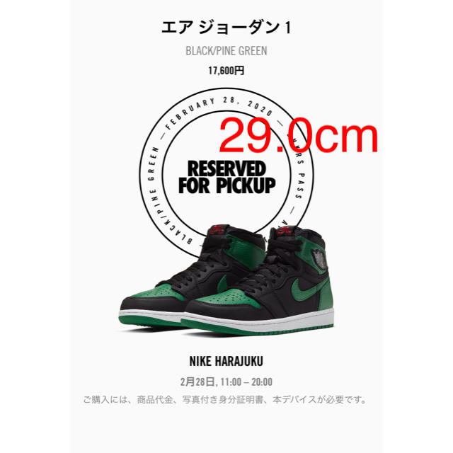 NIKE AIR JORDAN 1 black/pine green