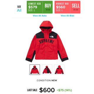 シュプリーム(Supreme)のSupreme×TNF Arc Logo Mountain Parka(マウンテンパーカー)