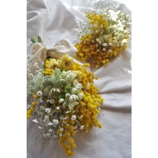 春のお花mimosa○ミモザスワッグ・ドライフラワースワッグ・swag・限定2つ(ドライフラワー)