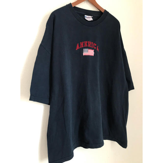 Santa Monica(サンタモニカ)のAMERICA 刺繍 Tシャツ usa製 古着　最終お値下げ！ メンズのトップス(Tシャツ/カットソー(半袖/袖なし))の商品写真