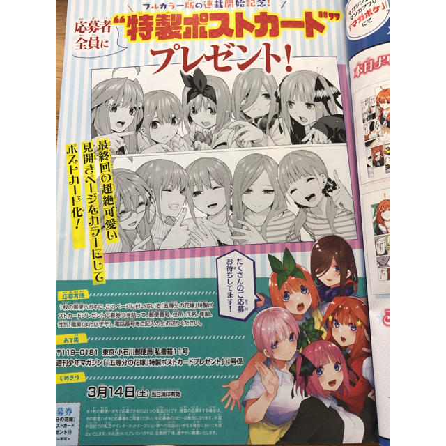 五等分の花嫁　特製ポストカード　応募券 エンタメ/ホビーのアニメグッズ(その他)の商品写真