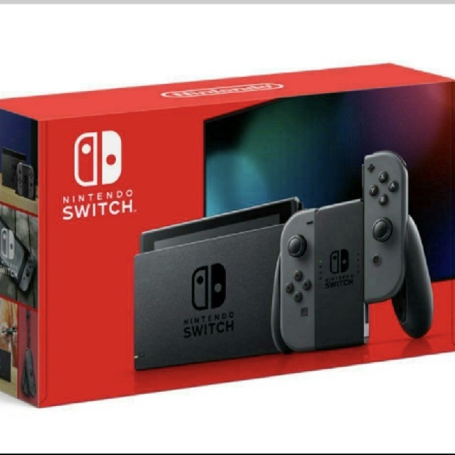 Nintendo Switch グレー 2点セット 新品未使用