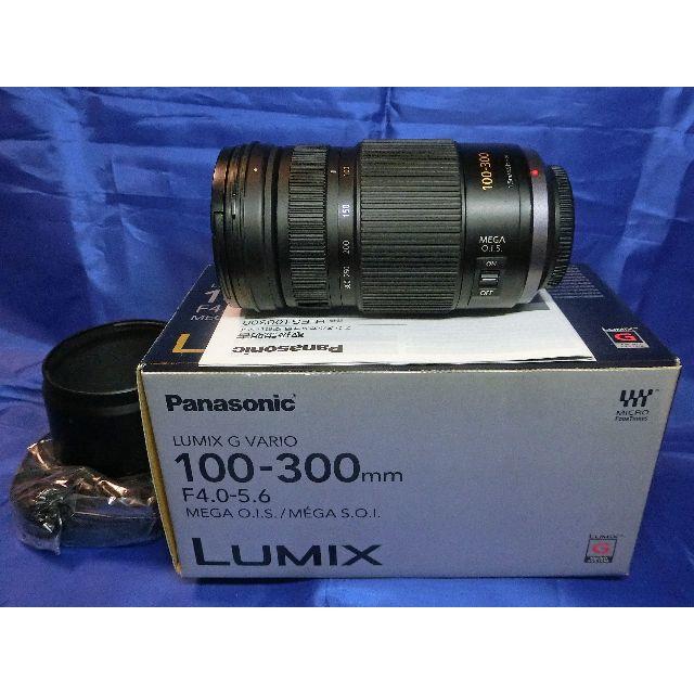 Panasonic LUMIX 100-300mm F4.0-5.6