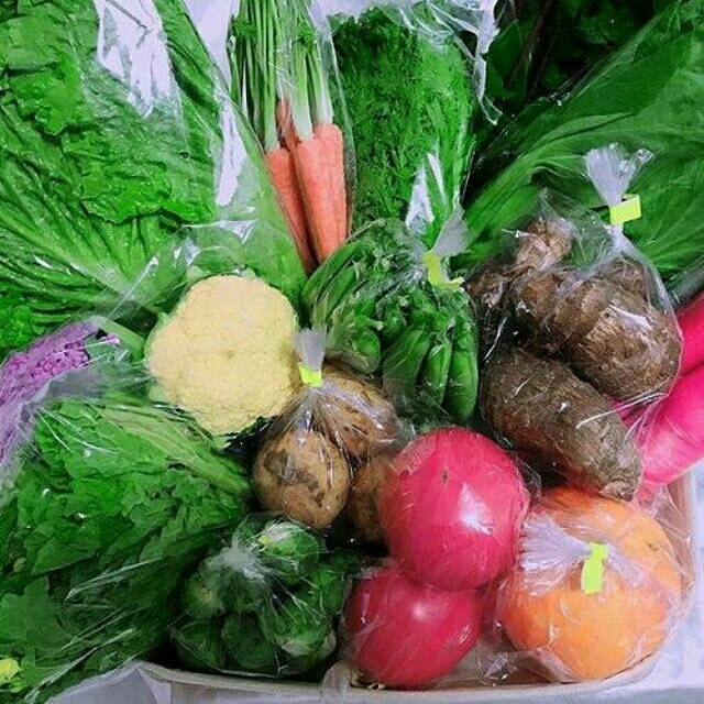 新鮮野菜セット80-② 食品/飲料/酒の食品(野菜)の商品写真