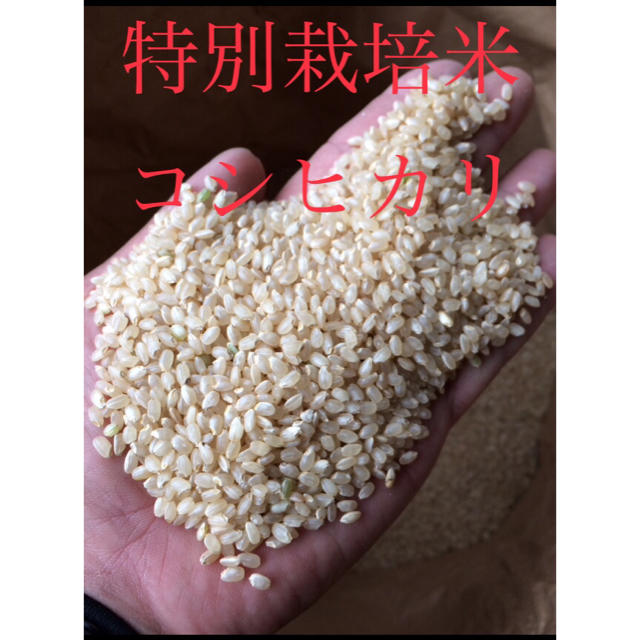 2019年・令和1年産「京都府丹後産コシヒカリ」特別栽培米・玄米30Kg