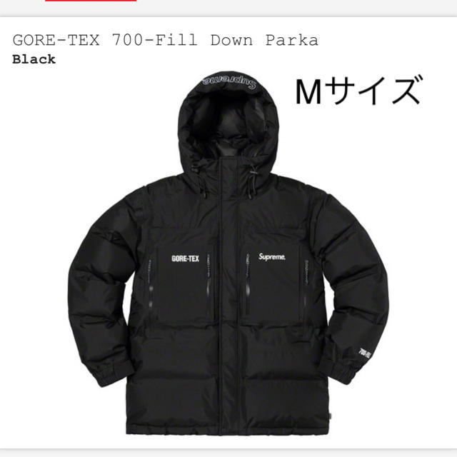 GORE-TEX 700-Fill Down Paka