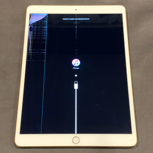 りえぴょんさん専用　iPad Pro 10.5 Wi-Fi 256GB ジャンク