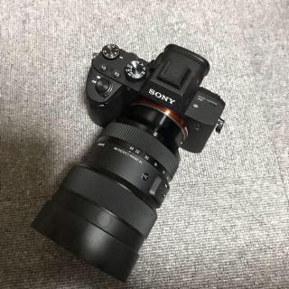 ソニー(SONY)のSONY a7iii(ミラーレス一眼)