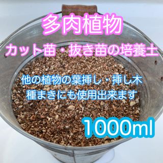 多肉植物の土 サボテンの土 多肉植物用土 1000ml(その他)