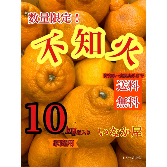 有田　不知火　有田みかん　家庭用　オーダー品 食品/飲料/酒の食品(フルーツ)の商品写真