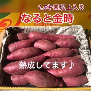 鳴門金時 なると金時2Sサイズ 送料無料(野菜)