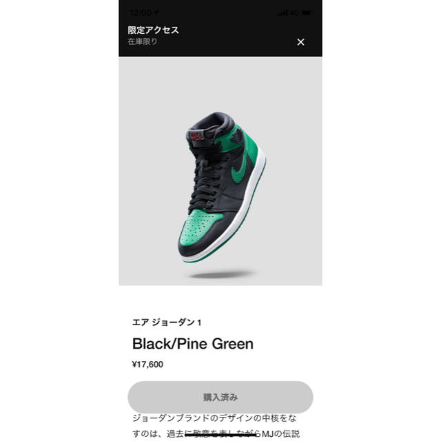 NIKE(ナイキ)のair jordan1 pinegreen  メンズの靴/シューズ(スニーカー)の商品写真