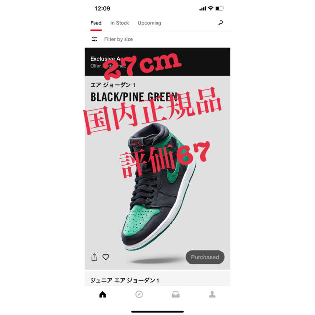 NIKE(ナイキ)のAir Jordan 1 pine green high 27 ジョーダン メンズの靴/シューズ(スニーカー)の商品写真