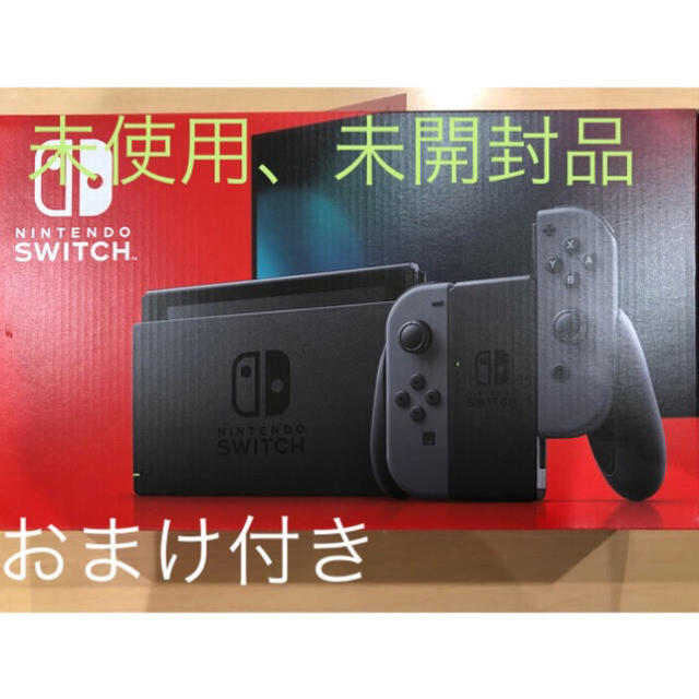 ゲームソフト/ゲーム機本体カバー付Nintendo Switch ニンテンドー スイッチ本体 新型 グレー