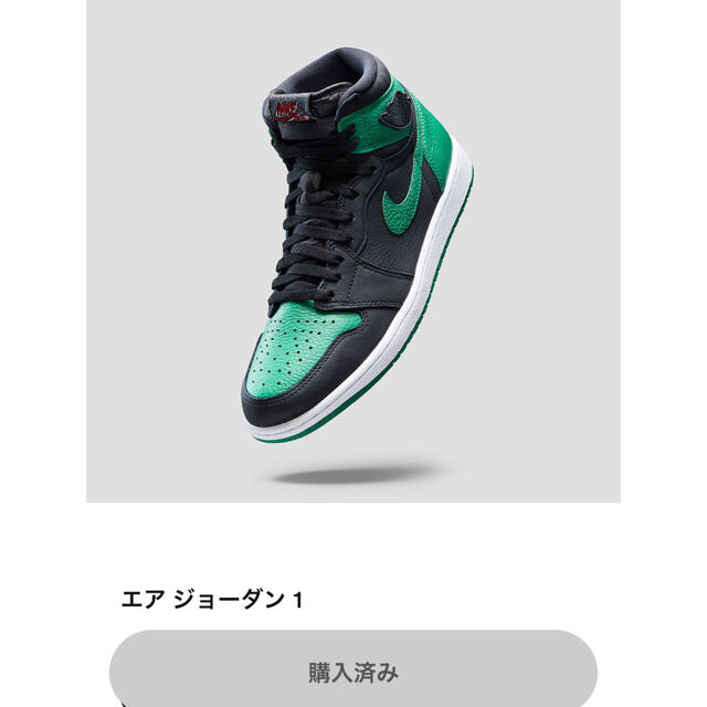 NIKE JORDAN 1 ブラック　パイングリーン　エアジョーダン1