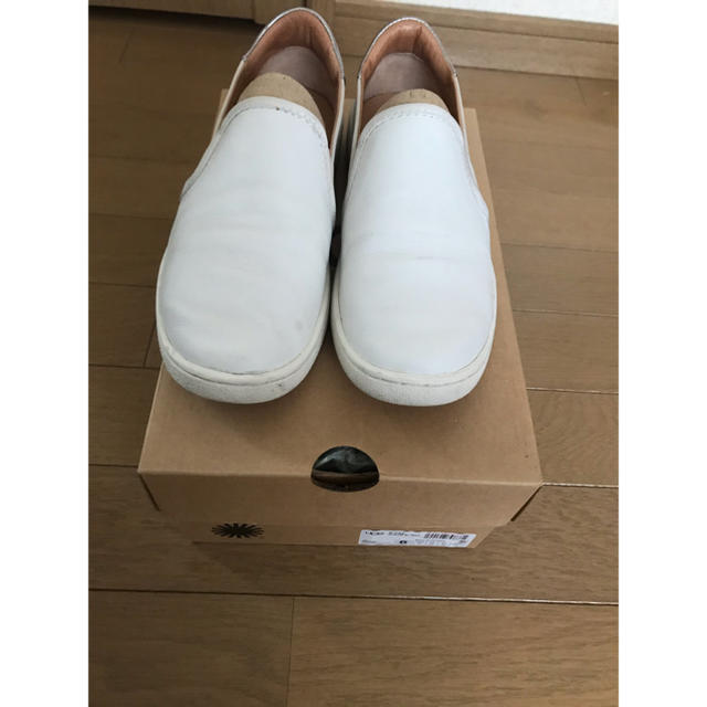 UGG スリッポン　スニーカー