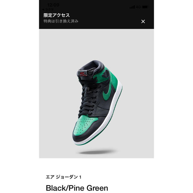 NIKE(ナイキ)のNike Air Jordan Retro High OG メンズの靴/シューズ(スニーカー)の商品写真