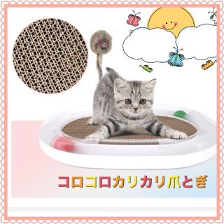 猫のおもちゃ　猫じゃらし　至れり尽くせり爪とぎ欲張りおもちゃ(猫)